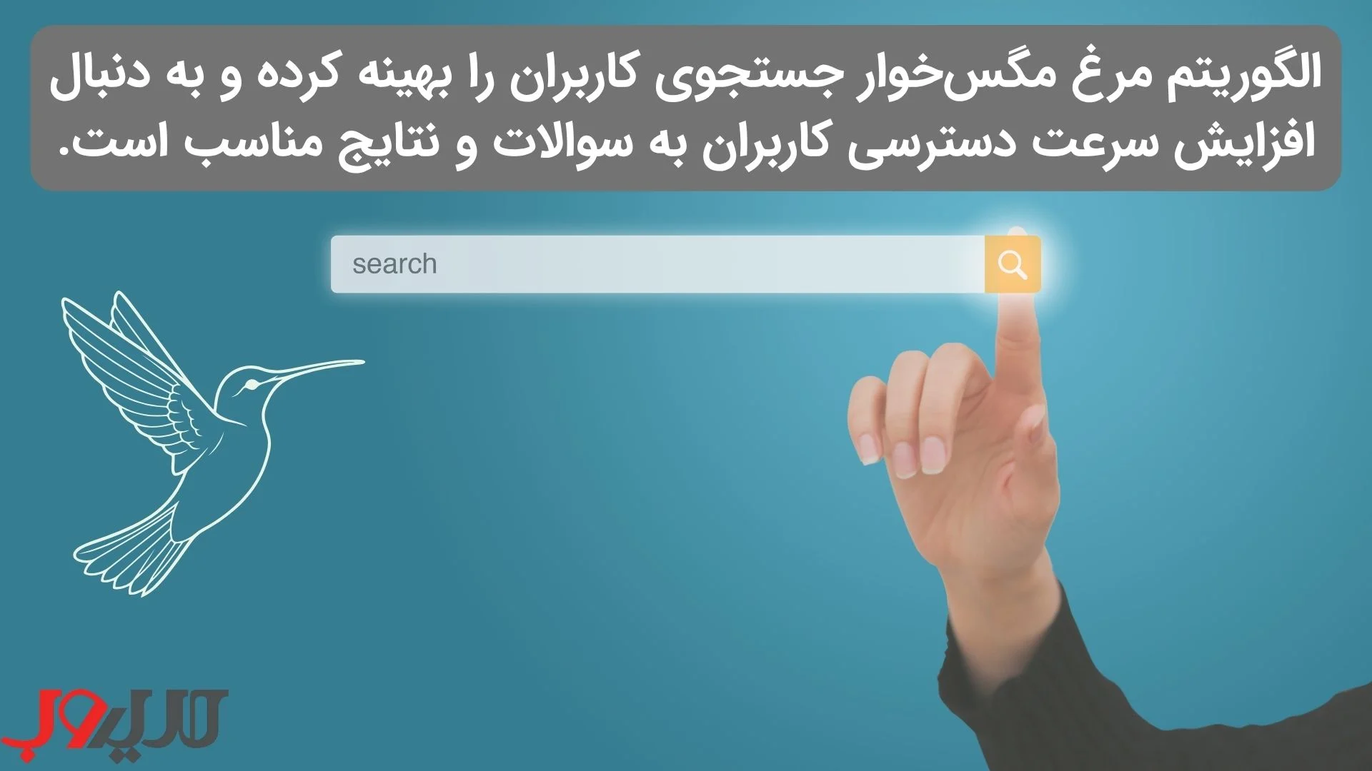 عکس نوشته ای درباره اینکه الگوریتم مرغ مگس‌خوار گوگل جستجوی کاربران را بهینه کرده و به دنبال افزایش سرعت دسترسی کاربران به سوالات و نتایج مناسب است.