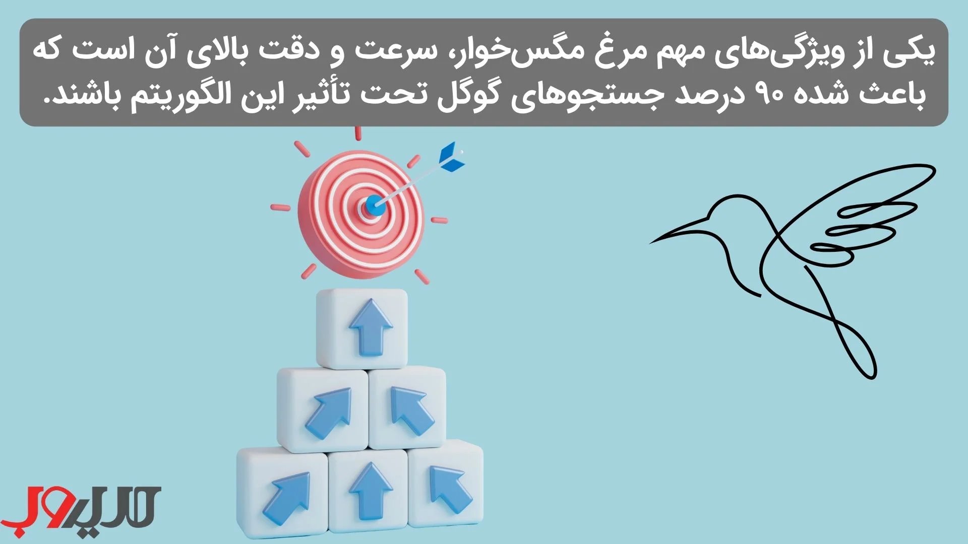 عکس نوشته ای درباره اینکه یکی از ویژگی‌های مهم مرغ مگس‌خوار، سرعت و دقت بالای آن است که باعث شده ۹۰ درصد جستجوهای گوگل تحت تأثیر این الگوریتم باشند