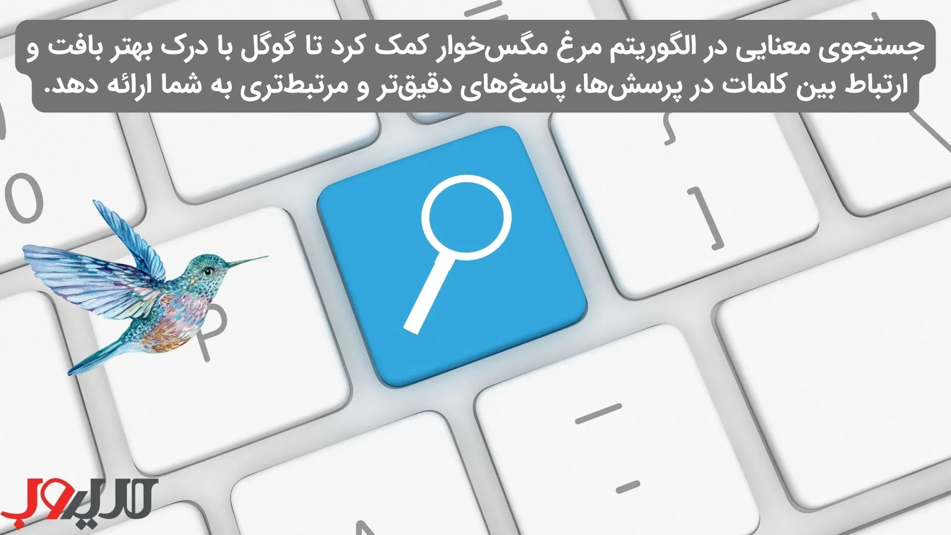 عکس نوشته ای درباره اینکه جستجوی معناییدر الگوریتم مرغ مگس خوار به گوگل کمک کرد تا با درک بهتر بافت و ارتباط بین کلمات در پرسش‌ها، پاسخ‌های دقیق‌تر و مرتبط‌تری به شما ارائه دهد.