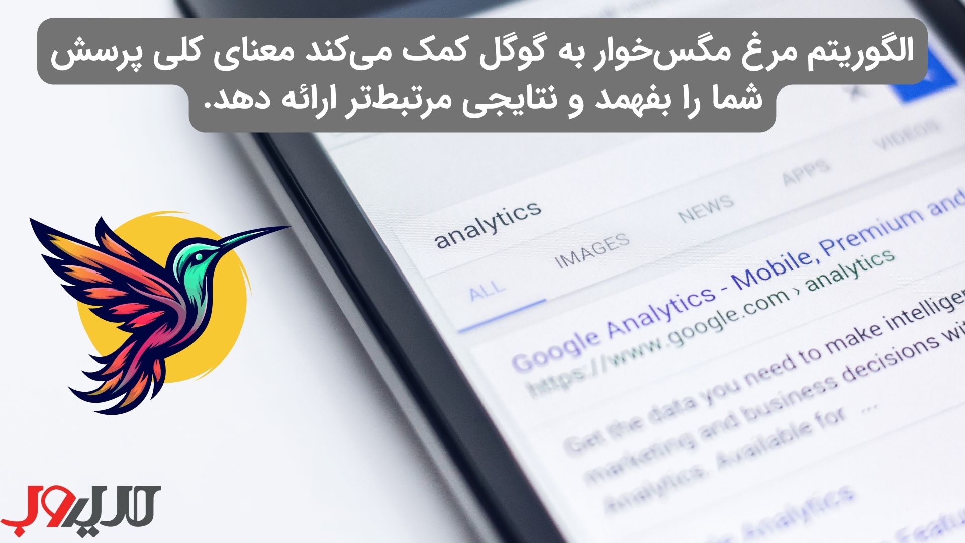 عکس نوشته ای درباره اینکه الگوریتم مرغ مگس‌خوار به گوگل کمک می‌کند معنای کلی پرسش شما را بفهمد و نتایجی مرتبط‌تر ارائه دهد.