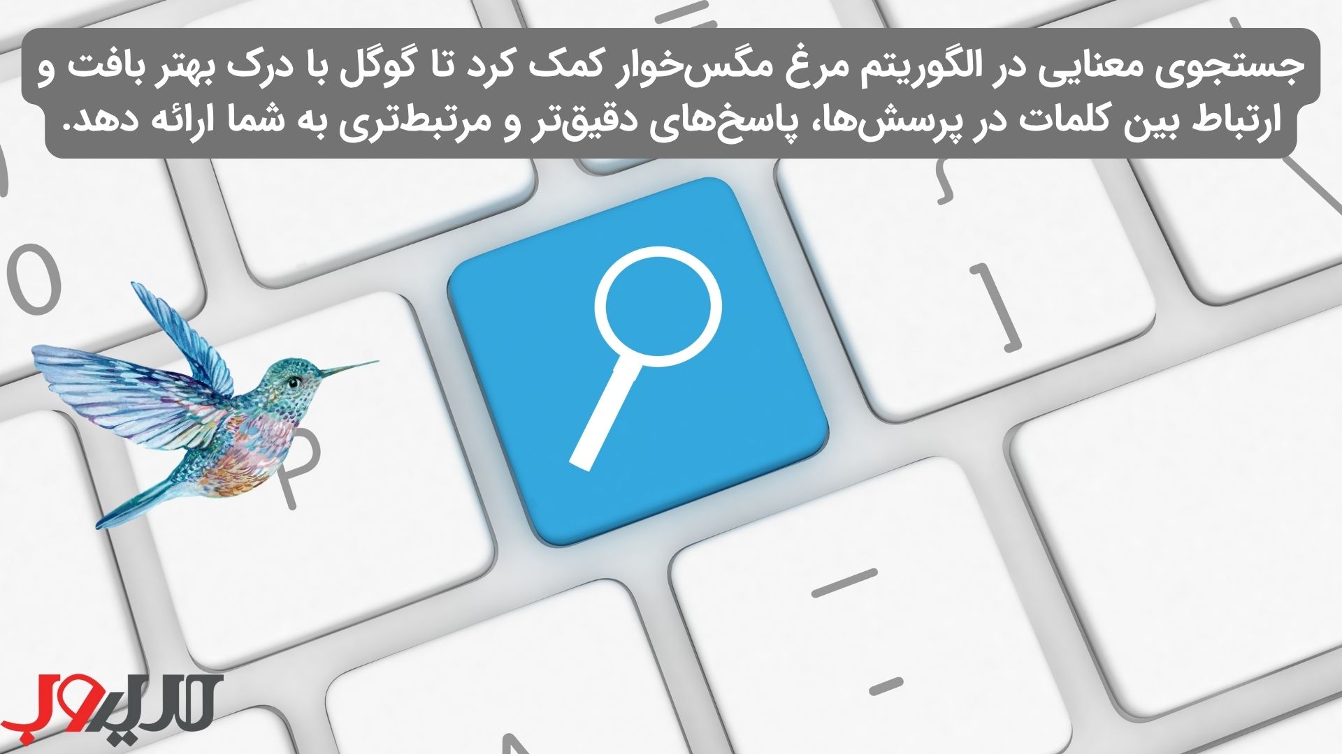 عکس نوشته ای درباره اینکه جستجوی معناییدر الگوریتم مرغ مگس خوار به گوگل کمک کرد تا با درک بهتر بافت و ارتباط بین کلمات در پرسش‌ها، پاسخ‌های دقیق‌تر و مرتبط‌تری به شما ارائه دهد.