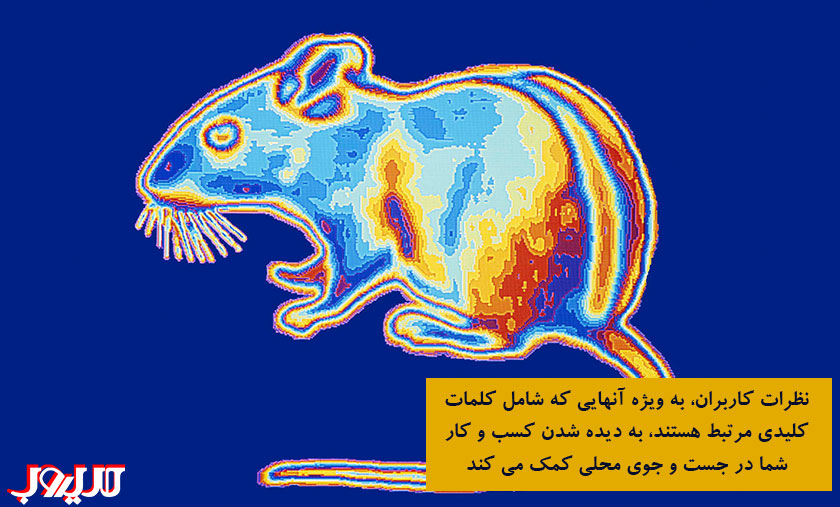 الگوریتم موش کور گوگل (Possum) چیست؟ 2 نظرات کاربران به ویژه آنهایی که شامل کلمات کلیدی مرتبط هستند به دیده شدن کسب و کار شما در جست جوی محلی کمک می کند